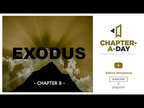 Exodus 8 Bible Study