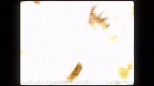 Made with Motion Extractor by @azatstr https://aescripts.com/motion-extractor #aftereffects #aescripts #motionextractor Spiders 🕷️ Made in After Effects with Motion Extractor, Pixel Sorter, Signal and Deep Glow plugins 🔌 #aftereffects #aescripts #motionextractor #pixelsorter #signal #deepglow | aescripts