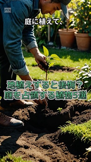 【地植えすると後悔？】庭で増えすぎやすい植物5選｜ #裏タメ #shorts #雑学 #ガーデニング #庭づくり #植物 #園芸