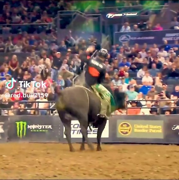 Angry bull raiders video #creatorsearchinsights #bull #bullraider #anw #angrybull