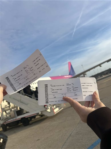 ‏La seule qui m’intéresse #traveltok #voyage #avion #egypte #travel