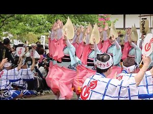 Uzuki Ren 2026 Spring Festival "Tokushima Castle Awa Odori"