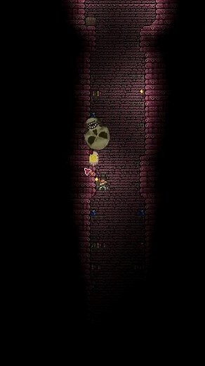 Are NPCs a Cheat Code in Terraria?!