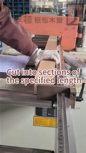 🔨 Witness Efficient Cutting, Creating Exceptional Aluminum Clad Wood Windows!