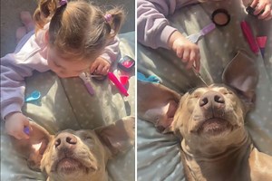 Watch ‘Two Gentle Souls’ as Little Girl Gives Dog Best Friend a Spa Day