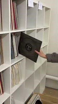 R.A.V.E. Record Scanner App | BETA 1.2