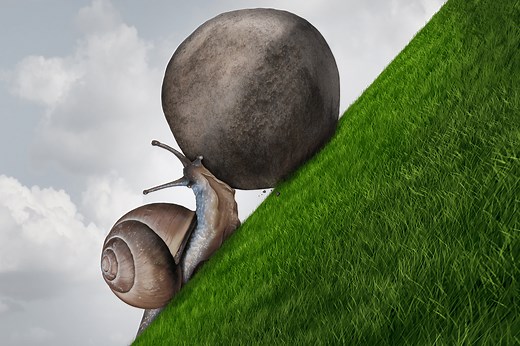 Why Is Perseverance Important (Explained)