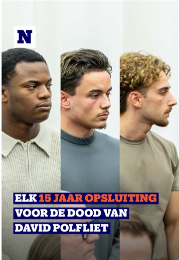 Straf voor Drie Jongeren na Dood David Polfliet