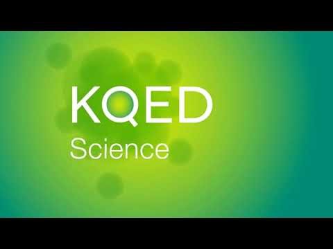 KQED & WQED Logo History