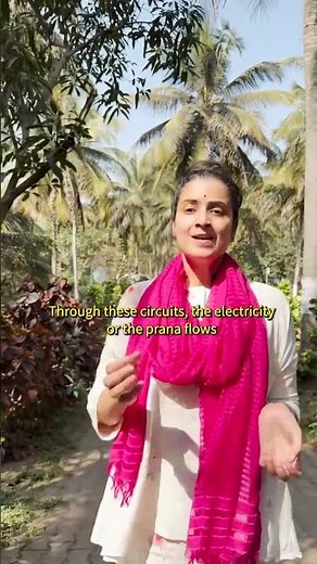 The Power of Sacred Mudras ✨