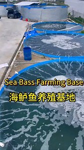 2.85m Complete Recirculating Aquaponics System for Fish Farming Aquaculture Equipment for Growing