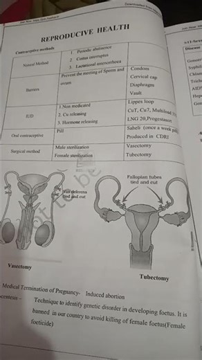 human reproduction