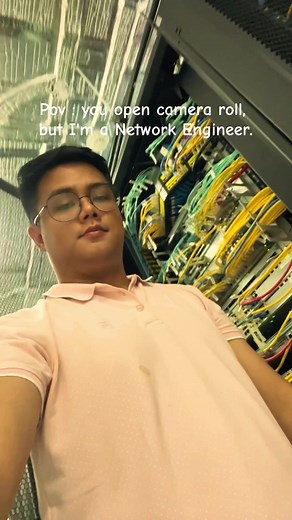 Insight into IT Engineering Career