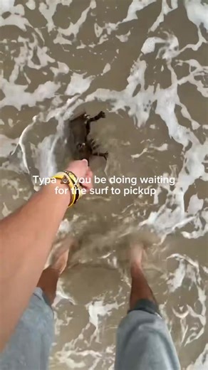 Shoutout the the horseshoe crabs fr #surfer #beach #surf #wildlife #oceanlife