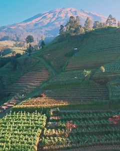 642K views · 4.2K shares | Butuh Village, Mt. Sumbing, Magelang, Central Java.  Fajar Tegar Laksono | Wonderful Indonesia | Facebook