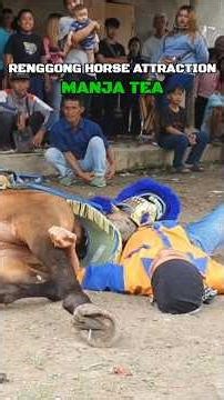 Horse dance attractions - video shorts youtube