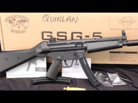 GSG-5 .22LR