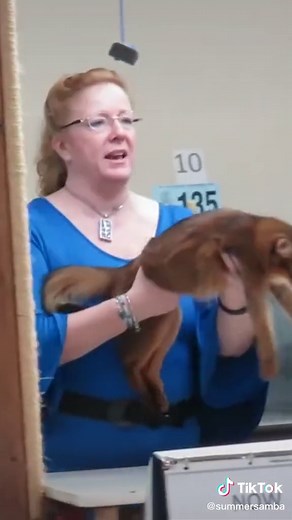 Summer's Biggest Cat Show Win Video
