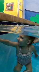 521K views · 8K reactions | From a young age, we are teaching our swimmers how to learn, think, and find ways to safely return to the pool's edge. Let our experienced instructors help you and your little tot understand safe boundaries around waters—sign up for swim lessons today. #AquaTots #SwimLessons #WaterSafety #SwimSchools #AchieveTheSwimpossible | Aqua-Tots Swim School | Facebook