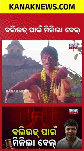 From Jail to Bail: Rajpal Yadav Gets Interim Relief from Delhi HC