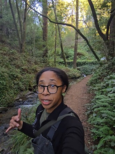 Raw, next question. #hikes #naturelovers #fypシ゚viral #outdoors #granola