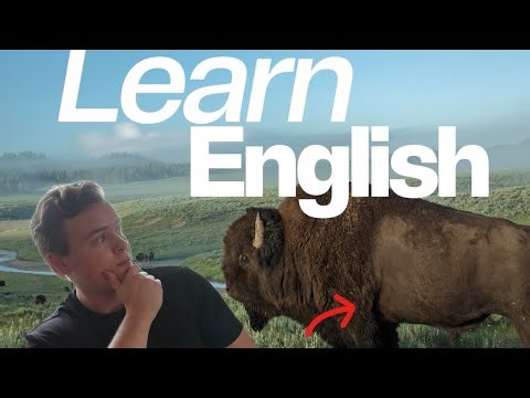 Easy English for Beginners: The Bison, the animal we almost lost forever! (Comprehensible Input)