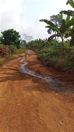 #landscape #buynow 400m² each at GLORY ESTATE sandpit not far from habitation on promotion 2.5mlion Francs