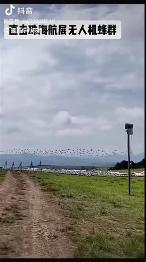 Drone Swarms: A New Era of Warfare 💥This video is a stunning glimpse into the future of warfare, where drone swarms are poised to revolutionize military tactics. While their potential applications… | Valerio D. Gulli | 19 comments