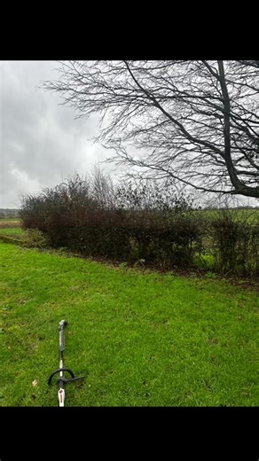 Hedge Reduction Techniques for a Better Garden View