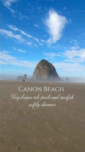 Cannon Beach Fog and Starfish | Haystack Rock Tide Pools | Oregon Coast Nature Vibes PNW Magic