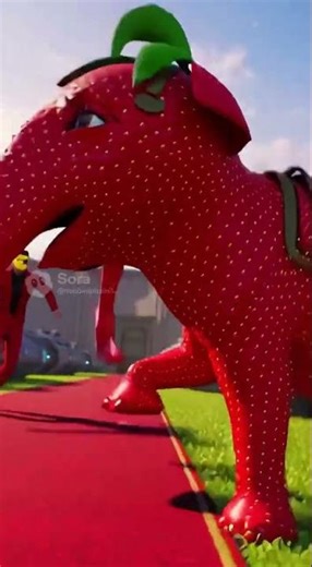 Mine now Sammy #funny #stb #sigma