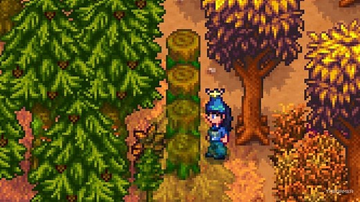 Stardew Valley: How To Get And Use Mushroom Logs