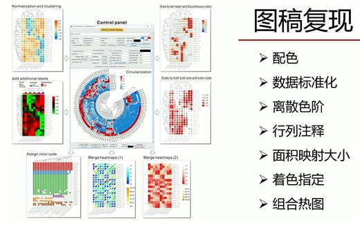 深入理解热图绘制 - 第一课 | 课程简介与图稿复现