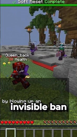 I Made A 1 Pixel Invisible Skin In Minecraft