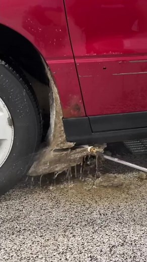 The Detail Geek on TikTok