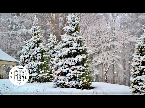 Rural Rhythm Records - Bluegrass Christmas [Bluegrass Visualizer]