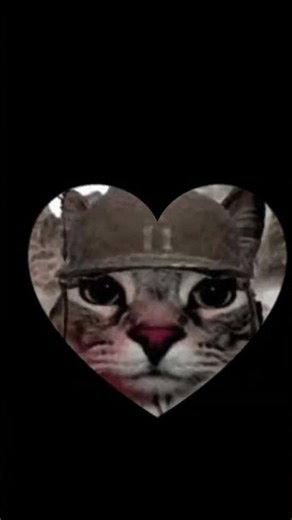 best coconut edit TRUST