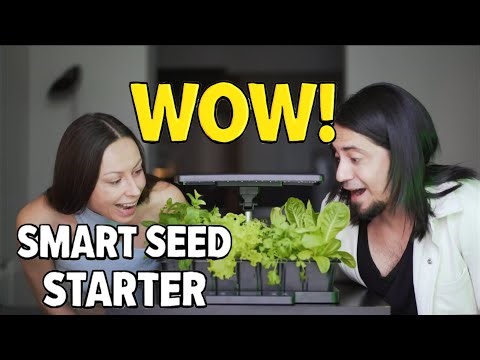LetPot SS-Pro Seed Starter Kit: Never Kill Seedlings Again – World’s 1st Auto Germination System