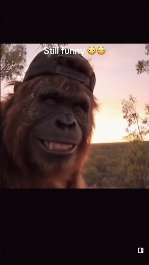 Camping Fails That Are Too Funny