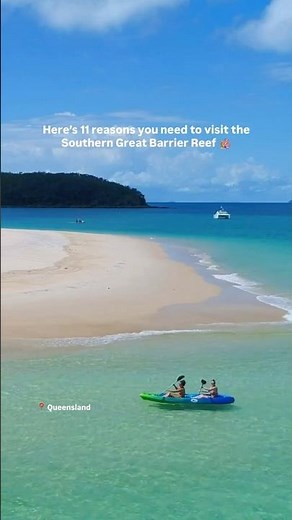 Here's 11 reasons you need to visit the Southern Great Barrier Reef 🐢