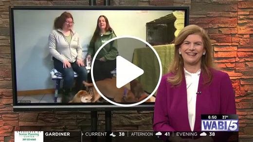 PAWS Adoption Center: Pups being prepped for adoption - NewsBreak