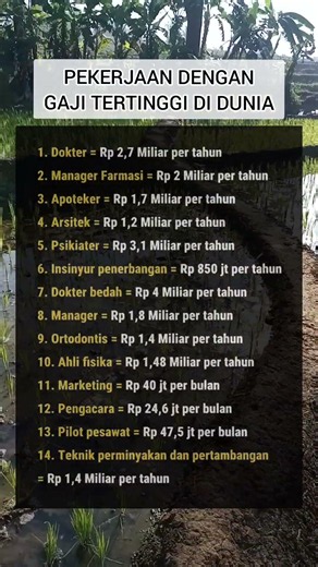 Pekerjaan dengan Gaji Tertinggi di Dunia!#FYI #infomenarik #GajiTertinggi #informasi #fyp
