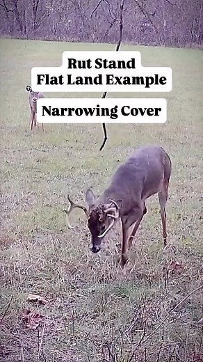 Not every rut funnel jumps off the map. Some of the best spots are the subtle ones, the kind that don’t look like much until you understand how deer really use cover. During the rut, bucks expand their range and cover more ground in search of does. The key to finding consistent movement isn’t just terrain, it’s how cover connects. Sometimes the pinch isn’t a tight bottleneck. Instead, it’s a narrow strip of cover, what you could call a cover bridge, that links two larger bedding or security area