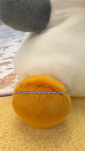 BIG news: Buoy Seagull with Fry has landed! 🏝️🍟 Now in 8” and 13” Party-Sized perfection—who’s grabbing both? 💙 #palmpals #partysizedpalmpals #palmpalsparty #plushies #plushtoys #plushcollection #bigplushies #largeplushies #seagull #cuddle #newpalmpals | Palm Pals