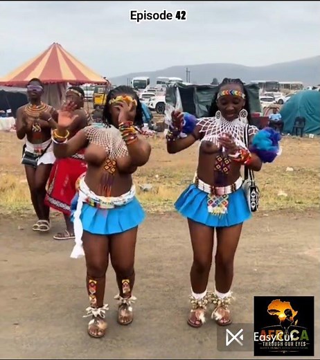 The Hidden Meaning Behind Every Zulu Dance Step | African Culture #Shorts