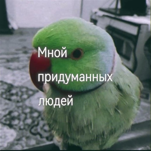 Kill Eva, ENCASSATOR - Psycho Dreams (Lyric Video) #russiansong #song #lyrics #artist
