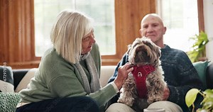 Senior couple, dog and sofa in home with care, talking and love with bonding, relax and stroke with kindness. Elderly woman, old man and animal with play, touch and pet with chat on living room couch