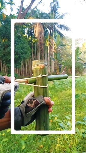 Bamboo Innovation Hub ⚡ #viral #bamboo #shortfeeds #shorts #woodscraftviralvideo