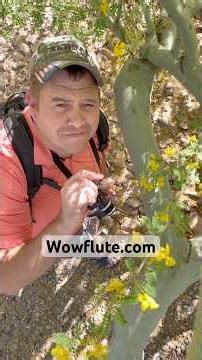 ☁️Lost in the Clouds: Carrying You (Castle in the Sky)🌼