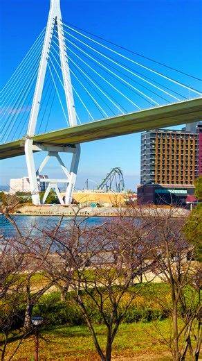 📍Japan / 日本 Follow us for more daily content @japan_4k_walk Please Share🥰☺️🙏 Thanks you very much 🙌🏻 #日本の風景 #japanlife #japandaily #japantrip #visitjapan